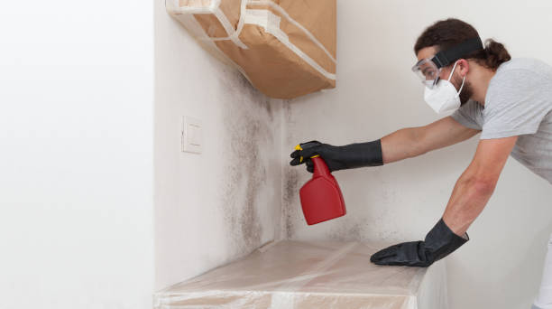 Professional Mold Remediation technician working in Winthrop, MA