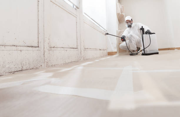 24/7 Emergency Mold Remediation experts in Winthrop, MA